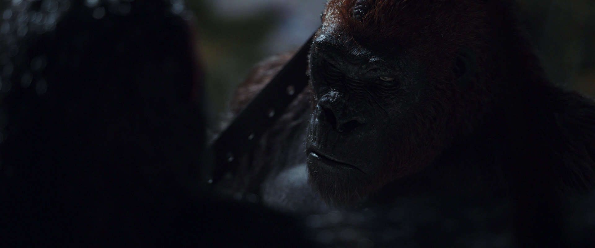 War for the Planet of the Apes (2017) screencap 8898