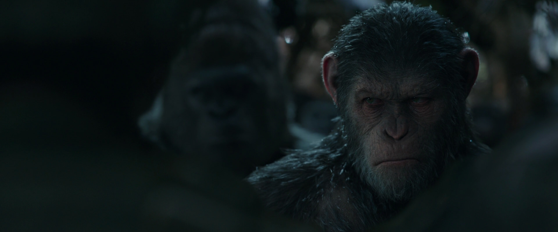 War for the Planet of the Apes (2017) HD screenshot 890