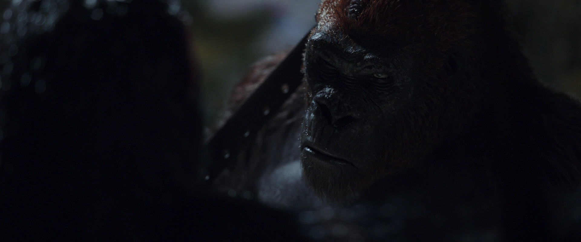 War for the Planet of the Apes (2017) HD screenshot 8900