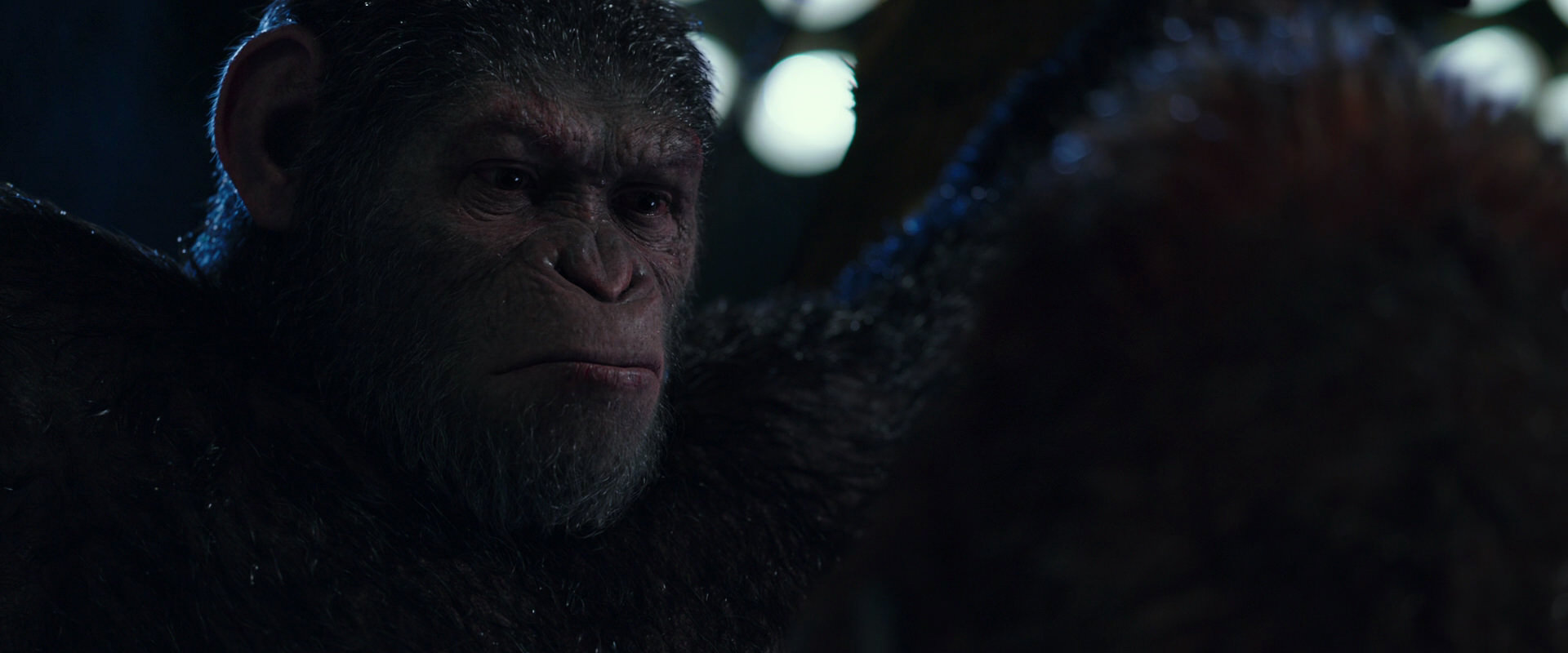 War for the Planet of the Apes (2017) screencap 8901