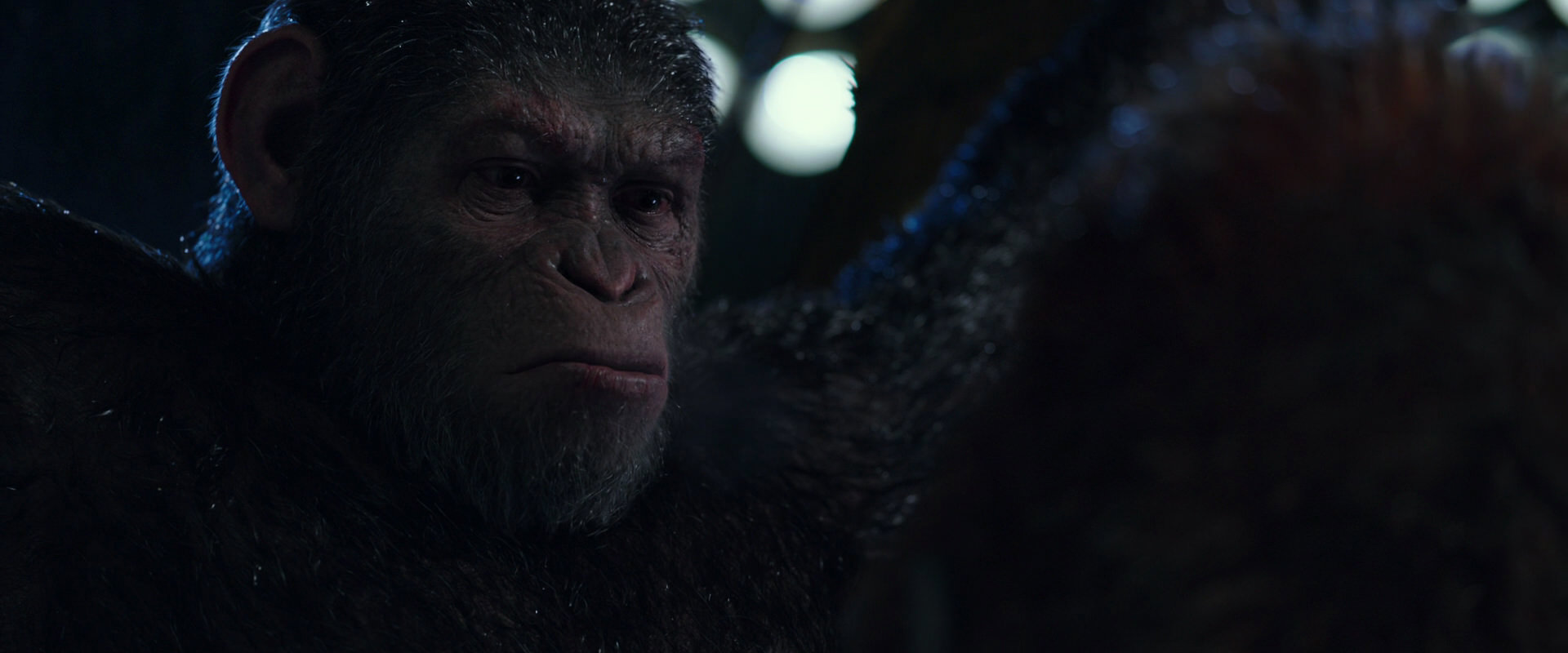 War for the Planet of the Apes (2017) movie still 8902