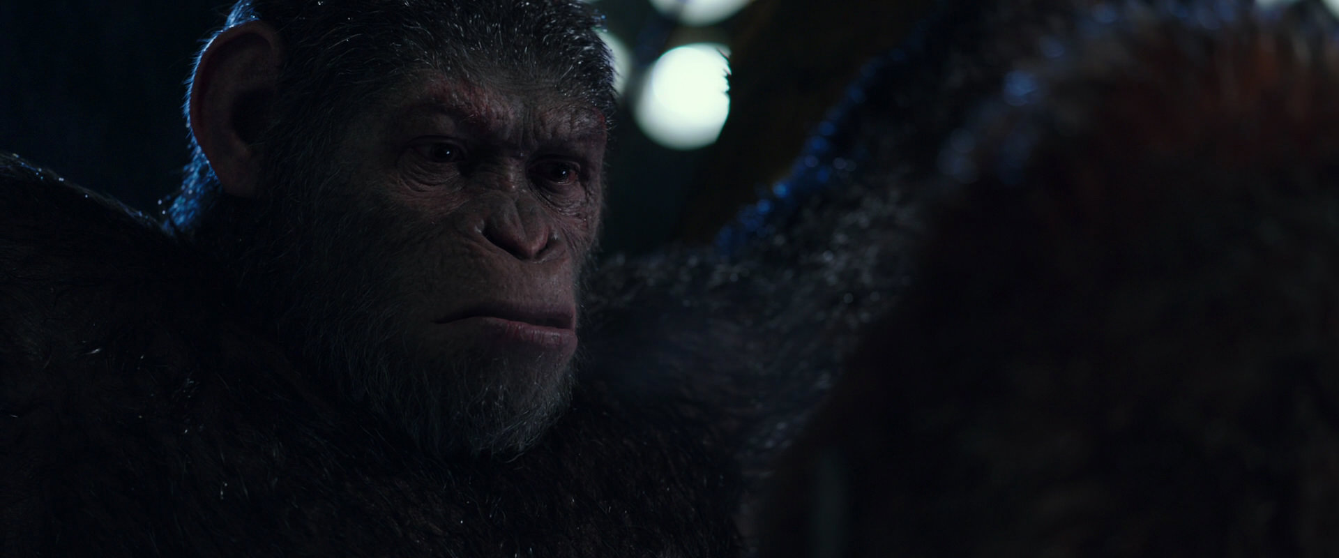War for the Planet of the Apes (2017) HD screenshot 8903