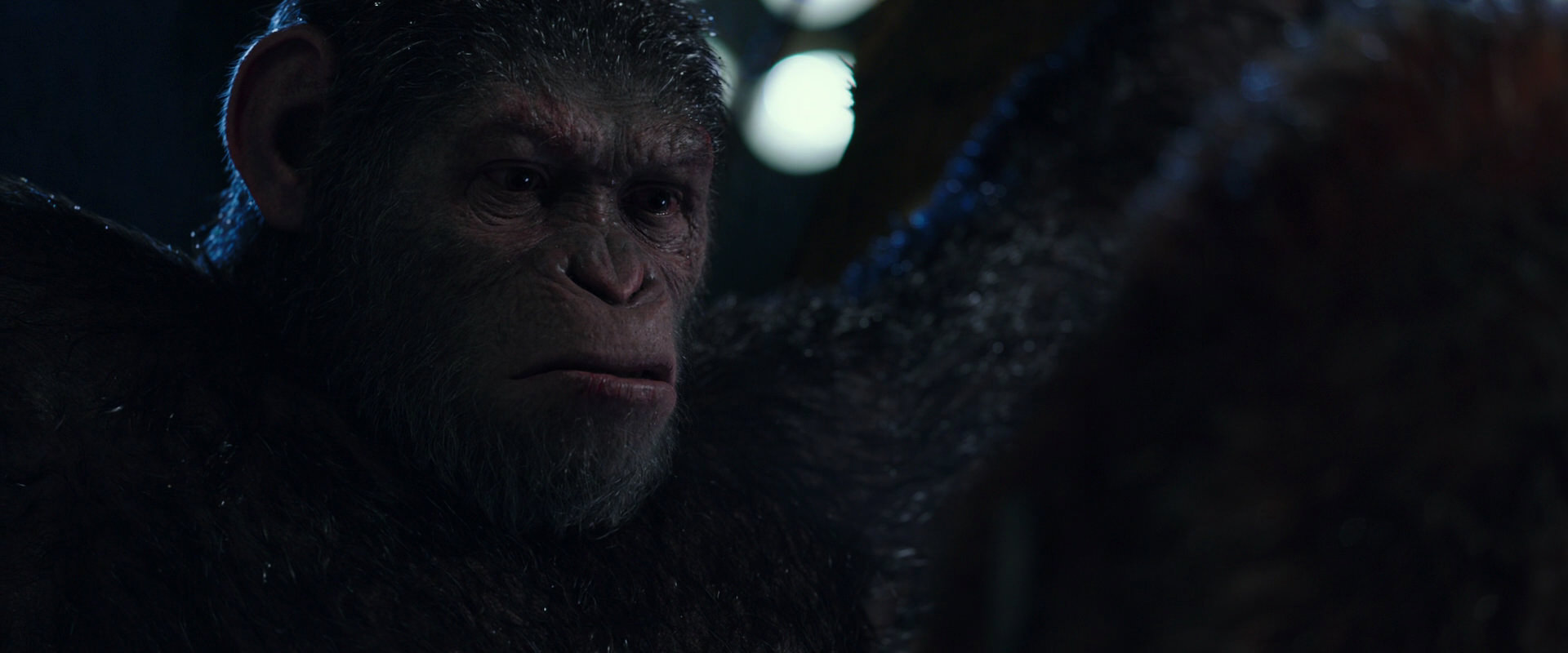 War for the Planet of the Apes (2017) screencap 8904