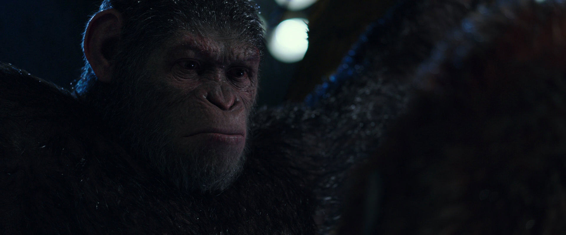 War for the Planet of the Apes (2017) movie still 8905