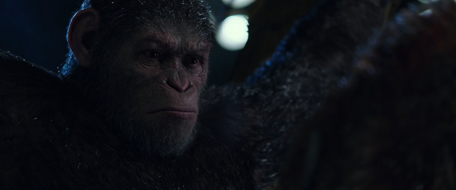 War for the Planet of the Apes (2017) HD screenshot 8906