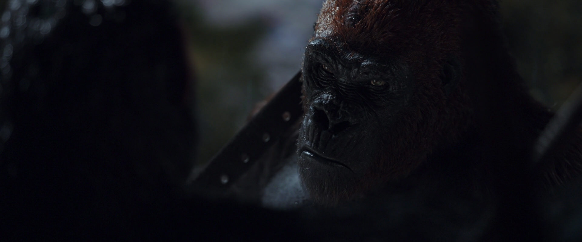 War for the Planet of the Apes (2017) movie still 8908