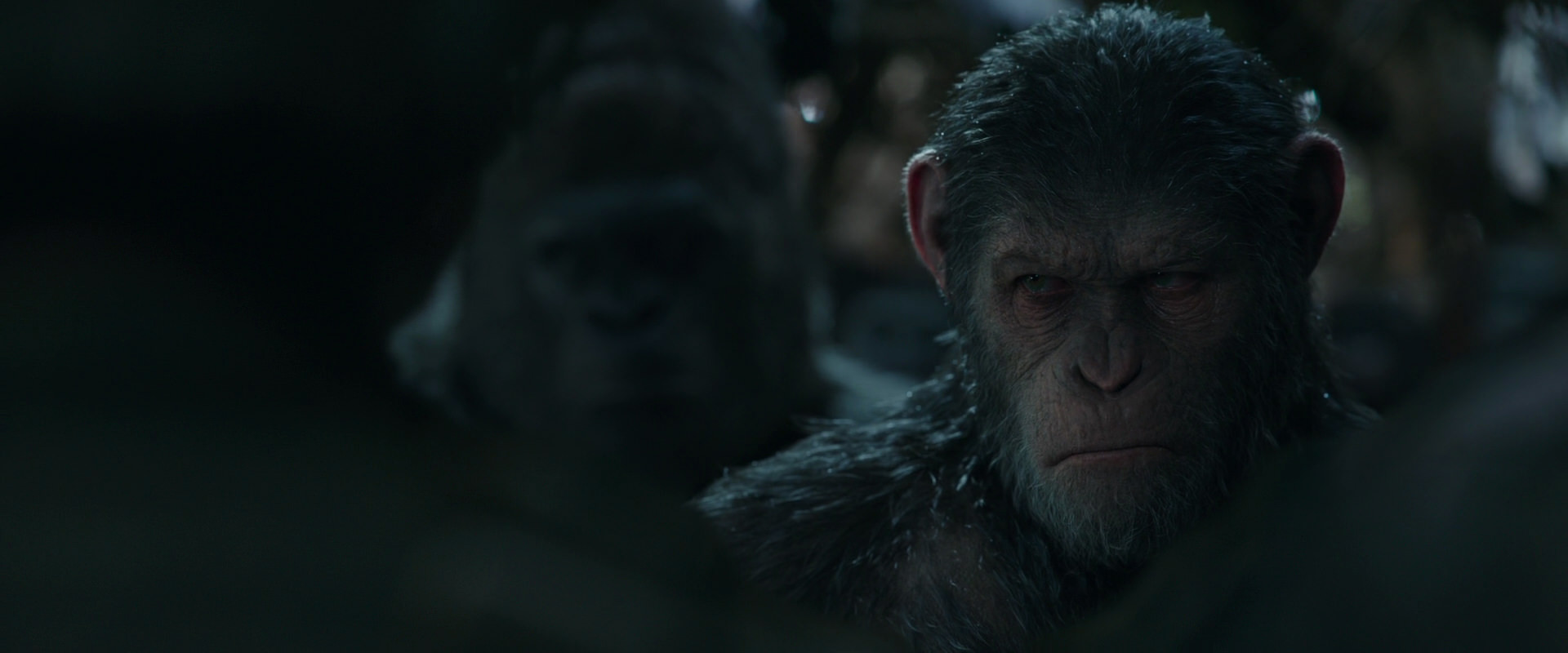 War for the Planet of the Apes (2017) screencap 891