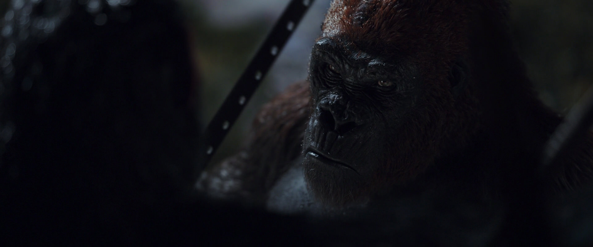 War for the Planet of the Apes (2017) screencap 8910