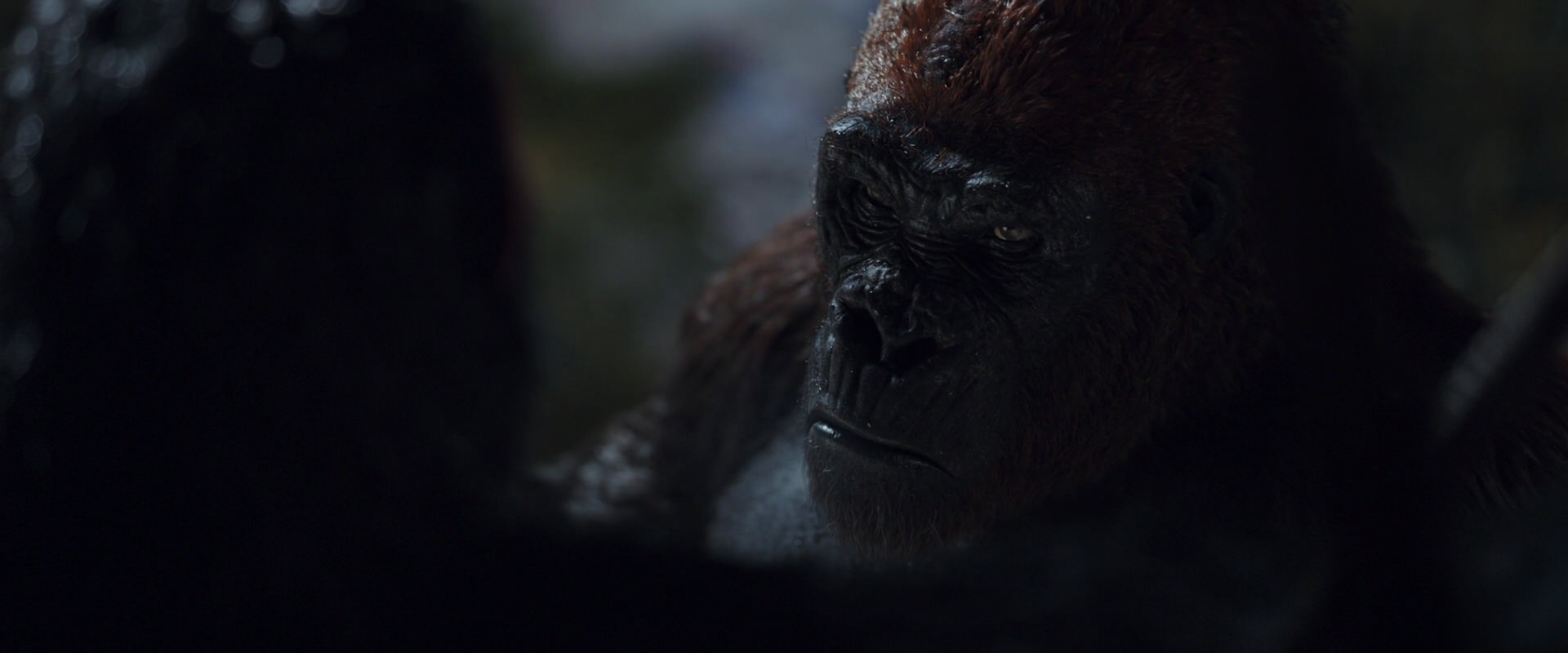 War for the Planet of the Apes (2017) movie still 8911