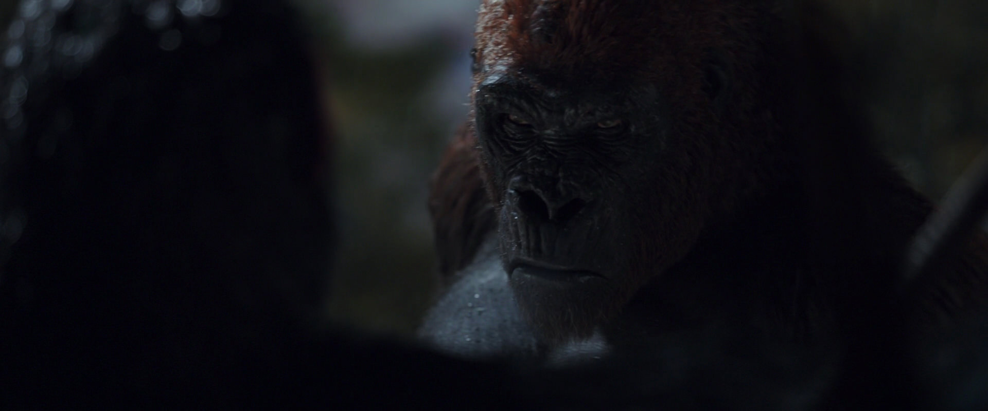 War for the Planet of the Apes (2017) HD screenshot 8912