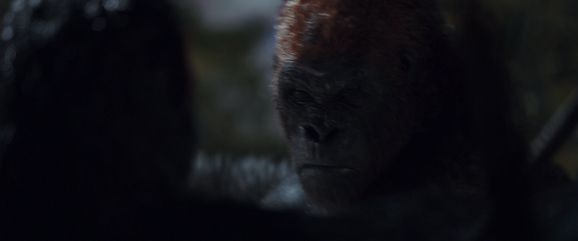 War for the Planet of the Apes (2017) screencap 8913