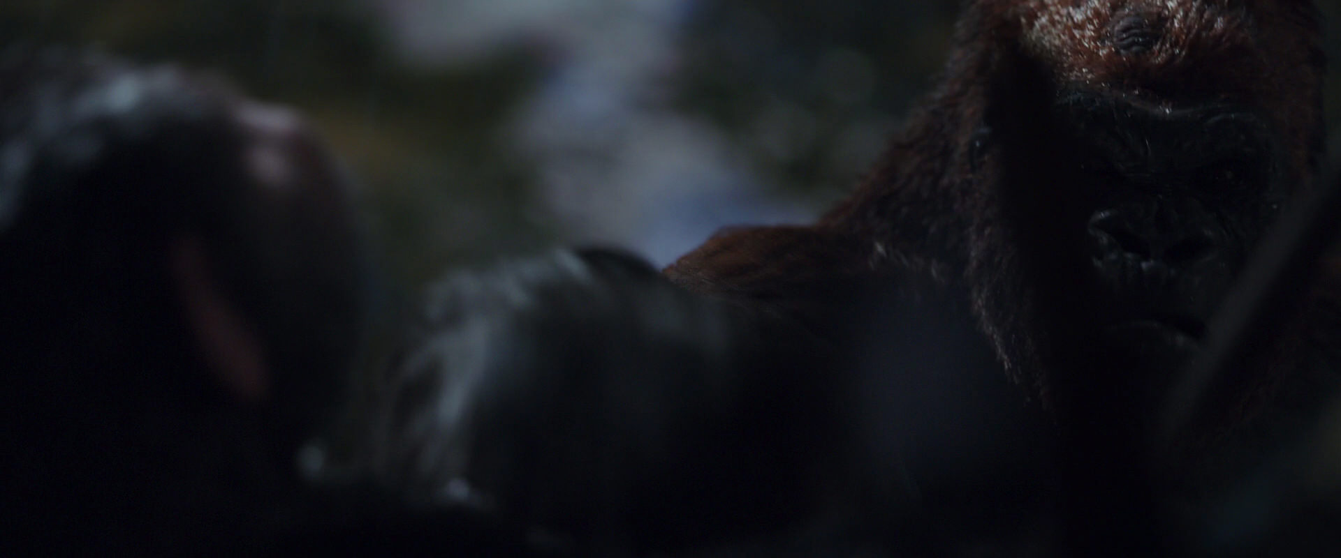 War for the Planet of the Apes (2017) movie still 8914