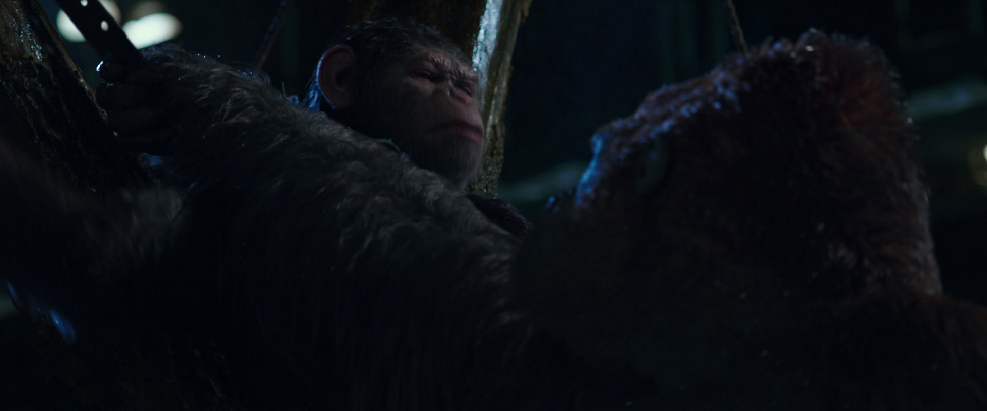 War for the Planet of the Apes (2017) HD screenshot 8915