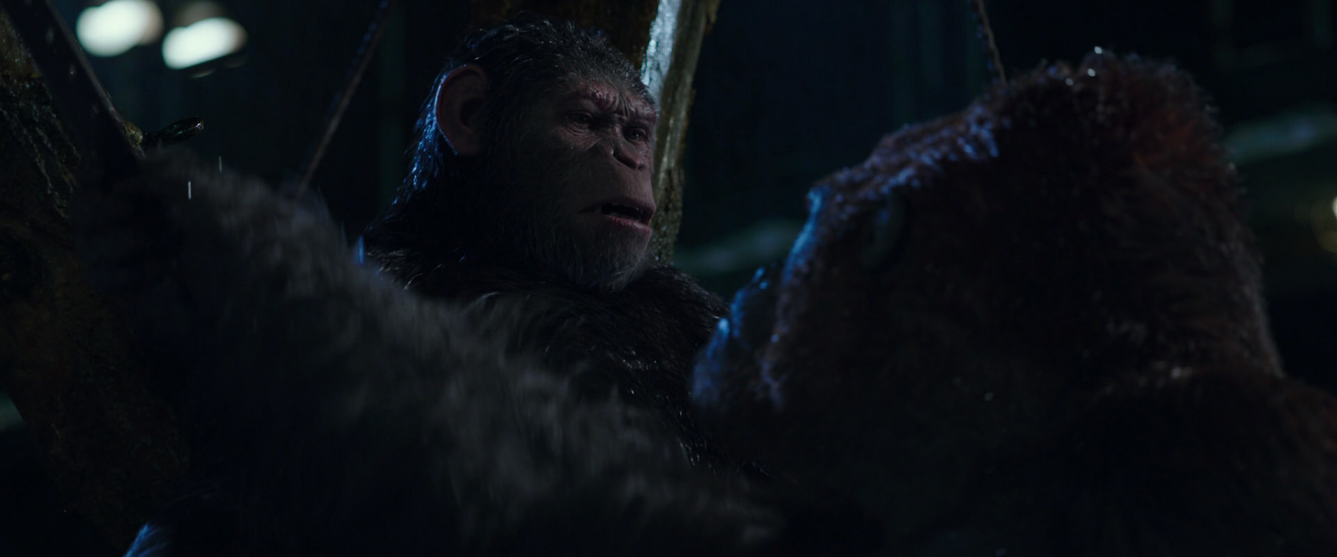 War for the Planet of the Apes (2017) screencap 8916