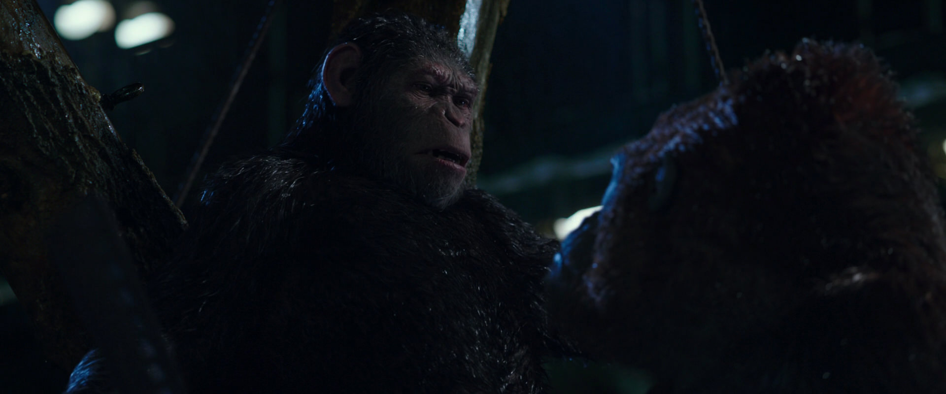 War for the Planet of the Apes (2017) movie still 8917