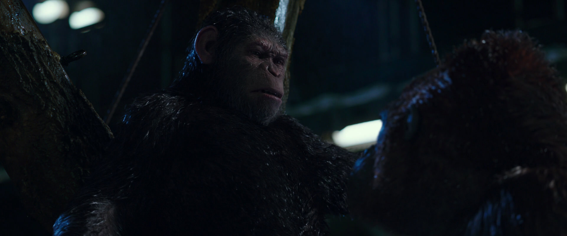 War for the Planet of the Apes (2017) HD screenshot 8918