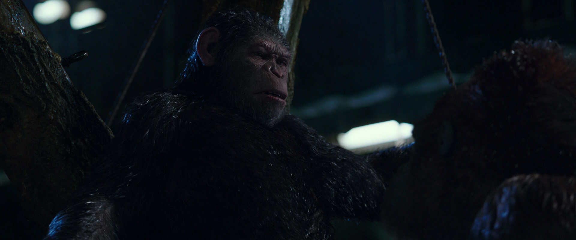 War for the Planet of the Apes (2017) screencap 8919