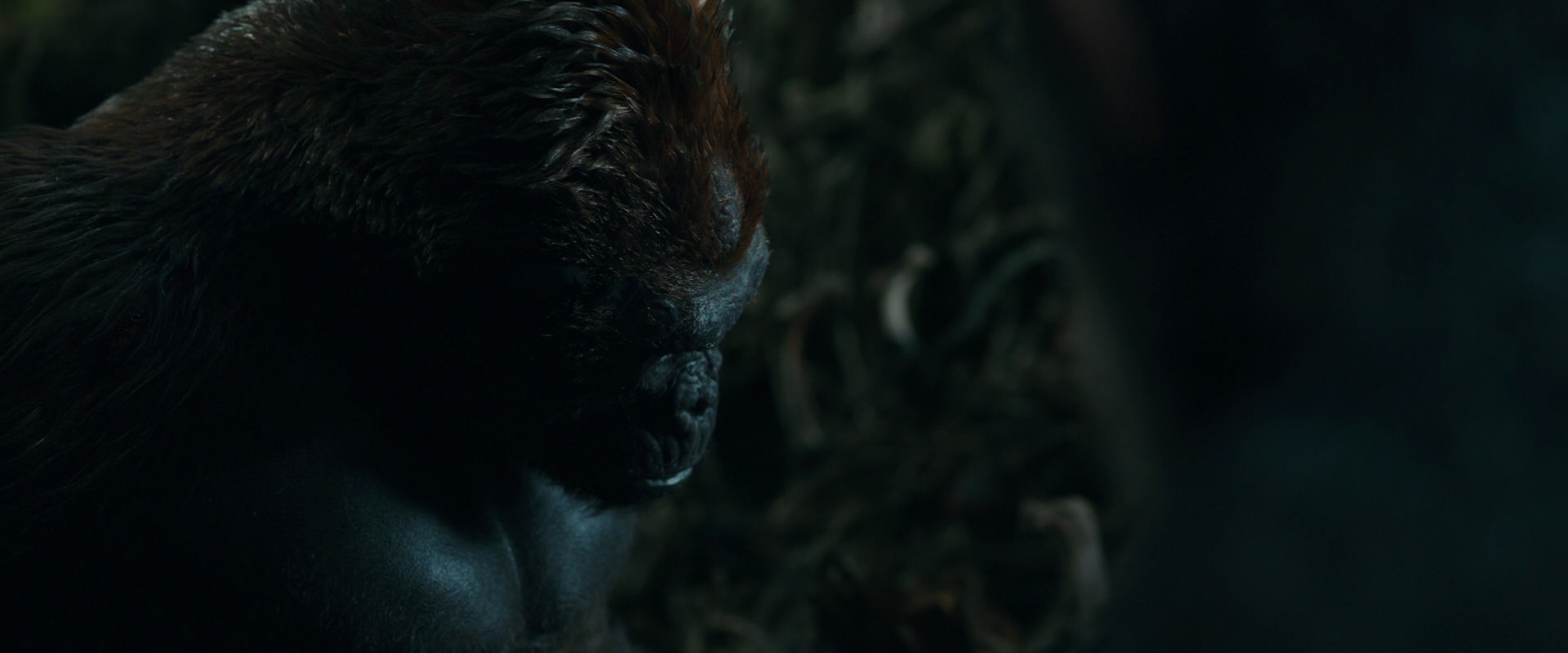 War for the Planet of the Apes (2017) movie still 892