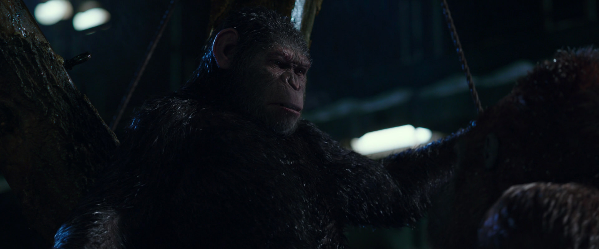 War for the Planet of the Apes (2017) movie still 8920