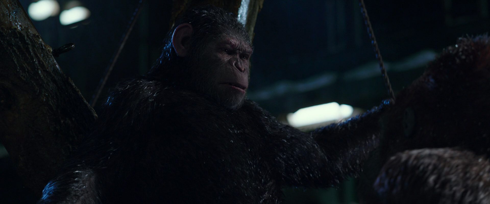 War for the Planet of the Apes (2017) HD screenshot 8921