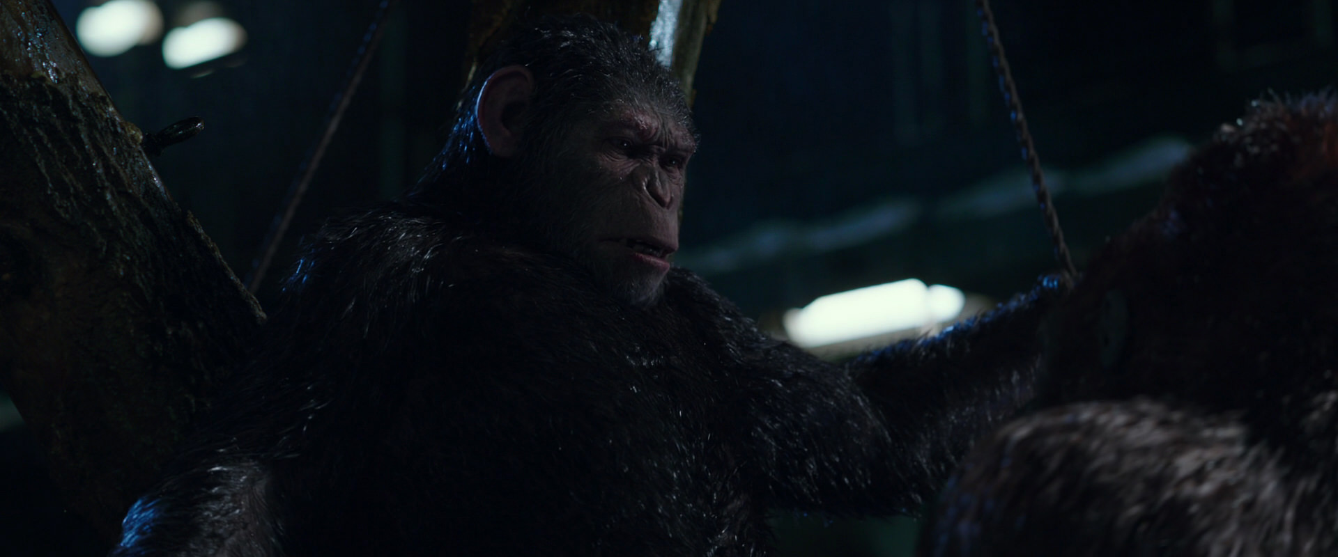 War for the Planet of the Apes (2017) screencap 8922