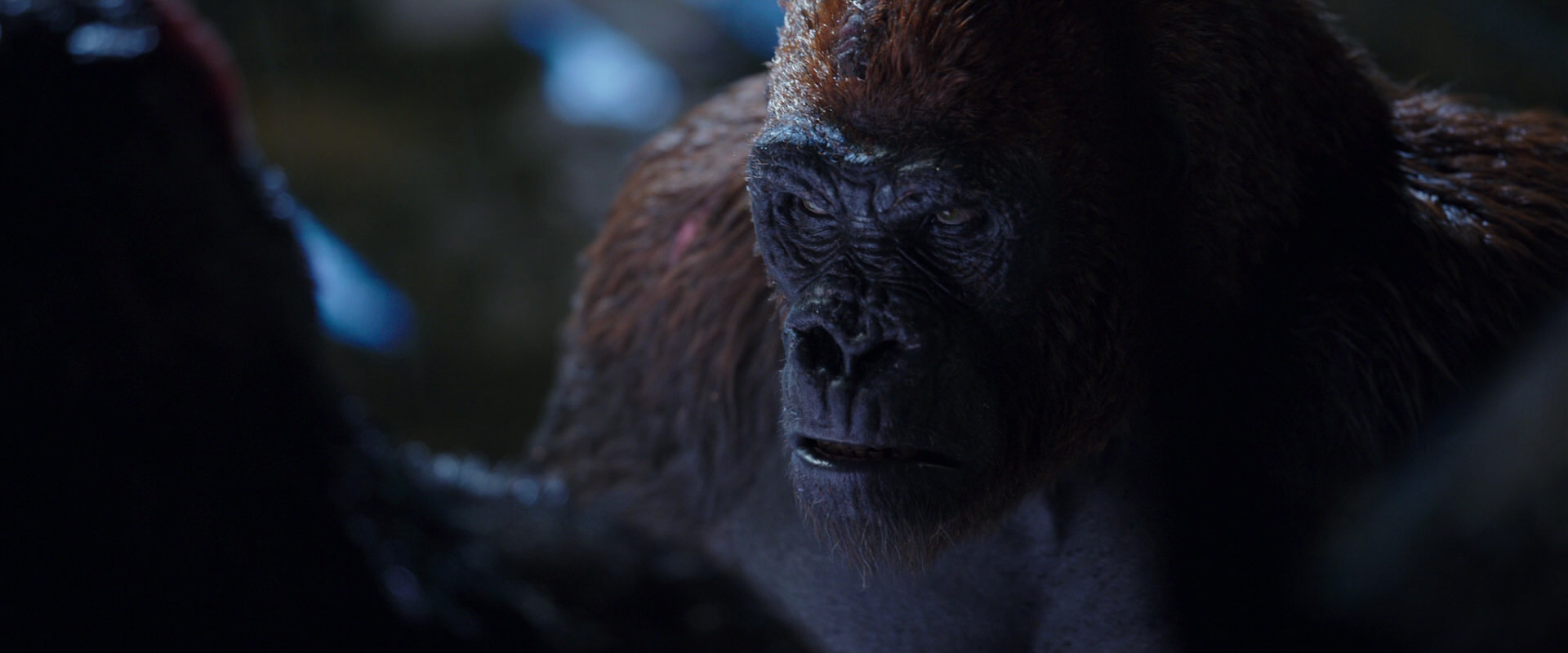 War for the Planet of the Apes (2017) movie still 8923