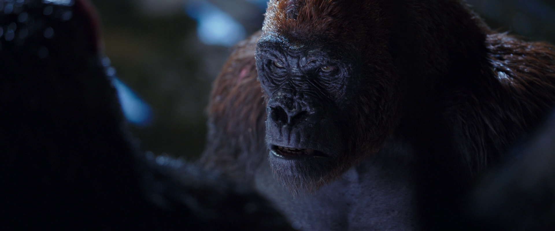 War for the Planet of the Apes (2017) HD screenshot 8924