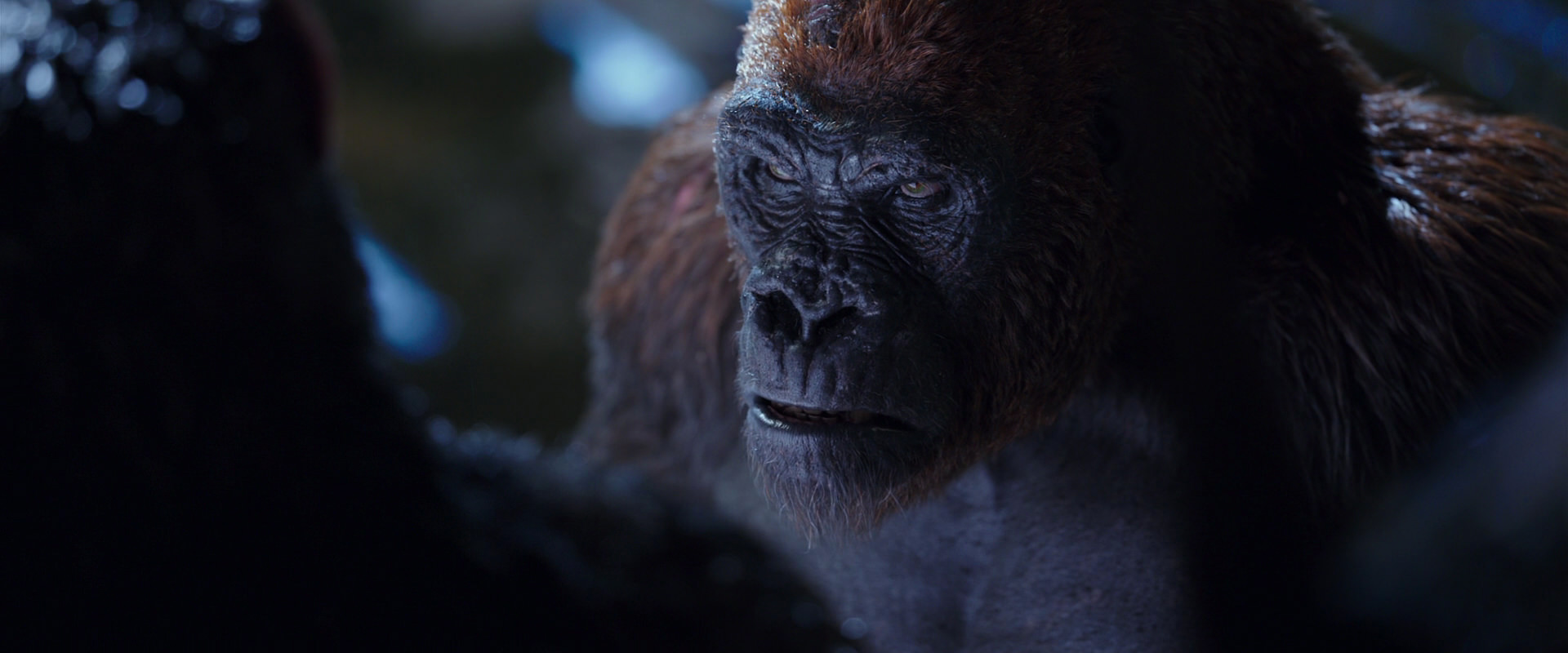 War for the Planet of the Apes (2017) screencap 8925