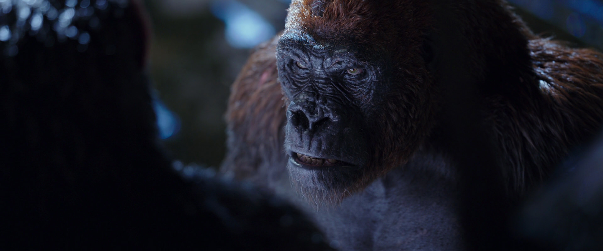 War for the Planet of the Apes (2017) movie still 8926
