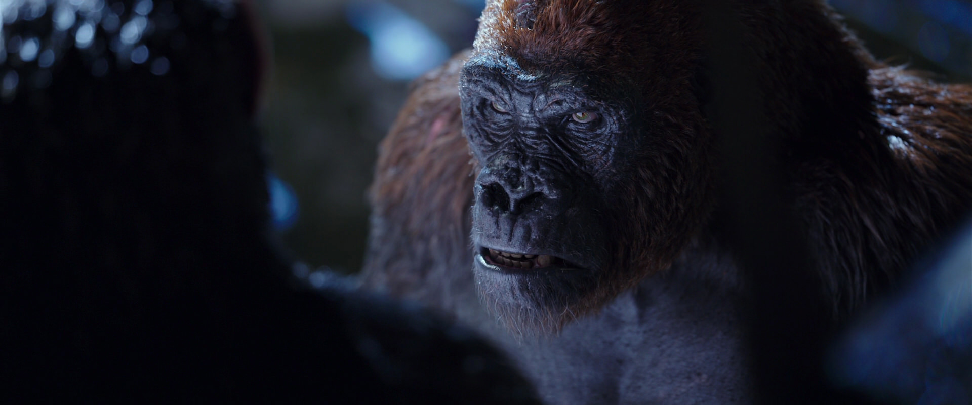 War for the Planet of the Apes (2017) HD screenshot 8927