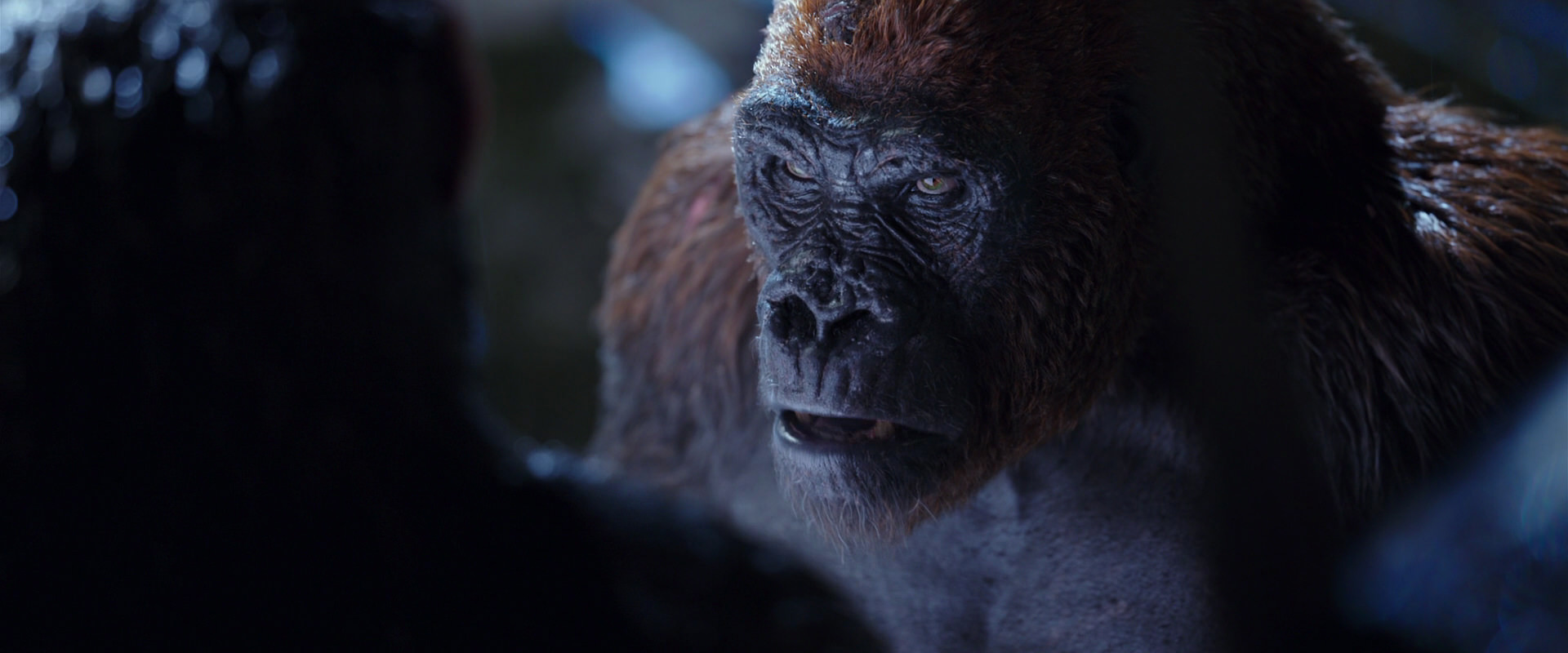 War for the Planet of the Apes (2017) screencap 8928