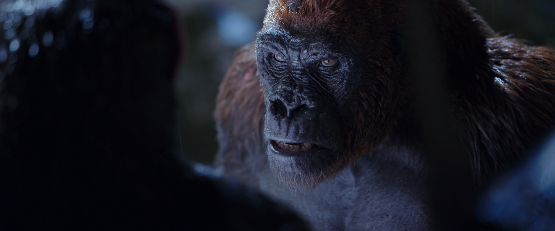 War for the Planet of the Apes (2017) movie still 8929