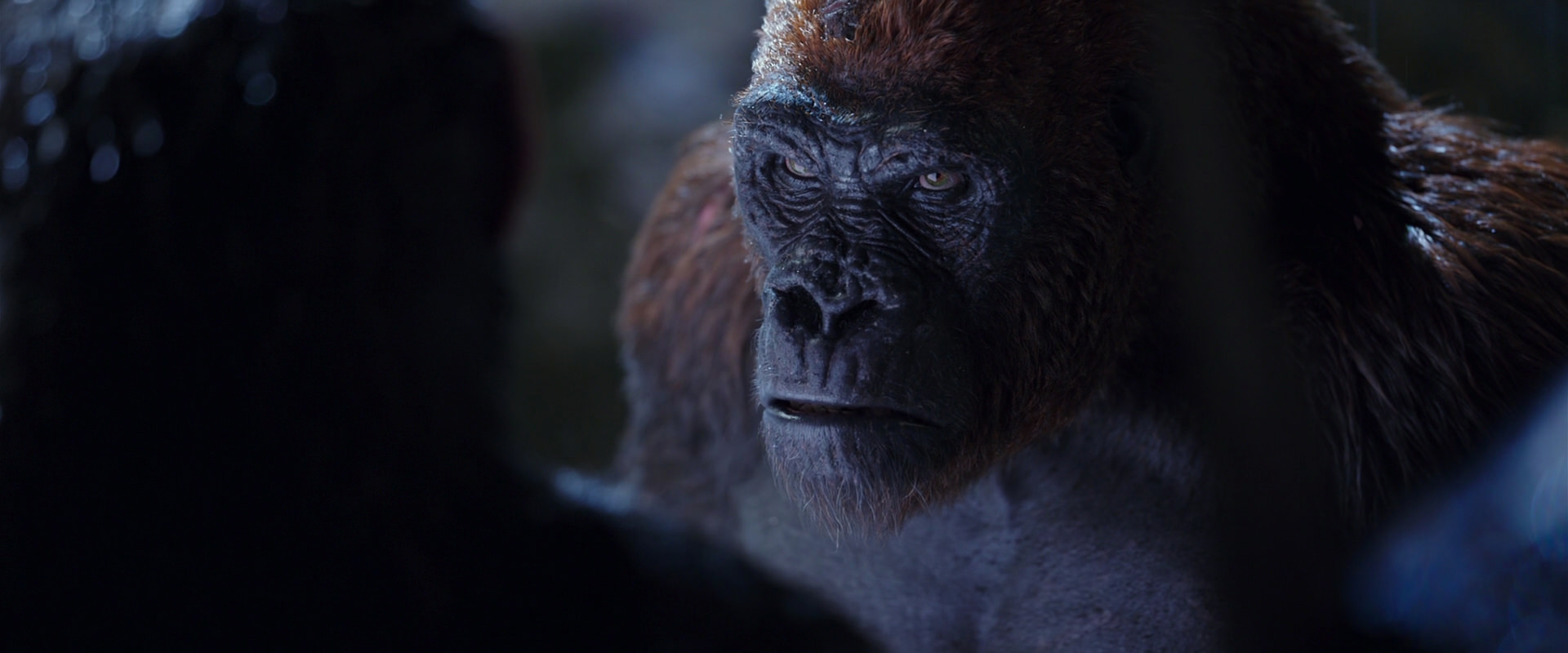 War for the Planet of the Apes (2017) HD screenshot 8930