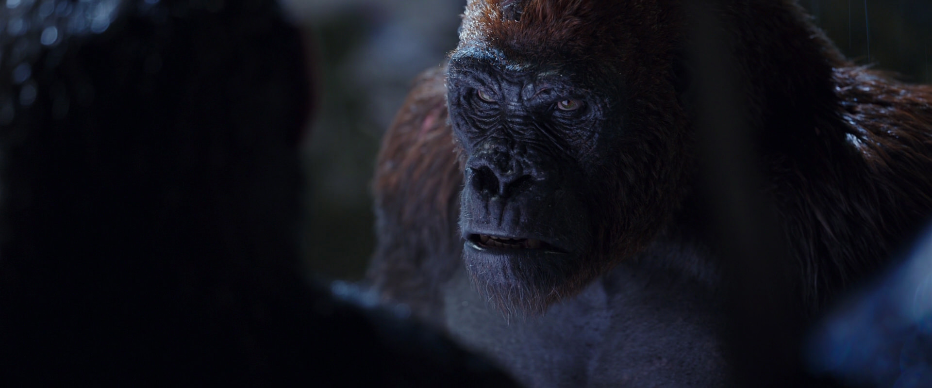War for the Planet of the Apes (2017) screencap 8931