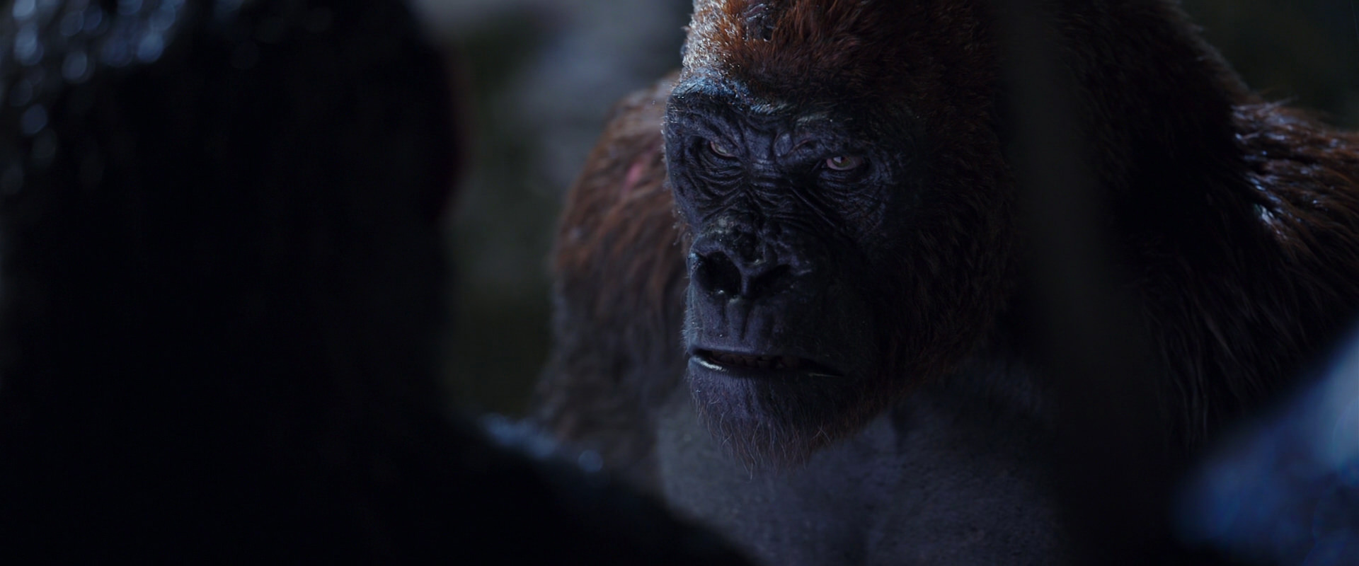 War for the Planet of the Apes (2017) movie still 8932