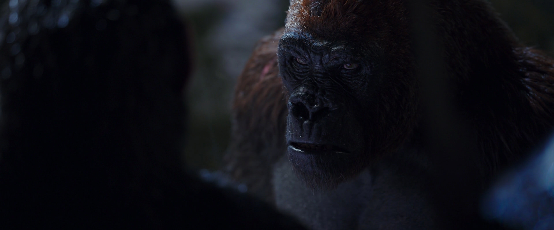War for the Planet of the Apes (2017) HD screenshot 8933