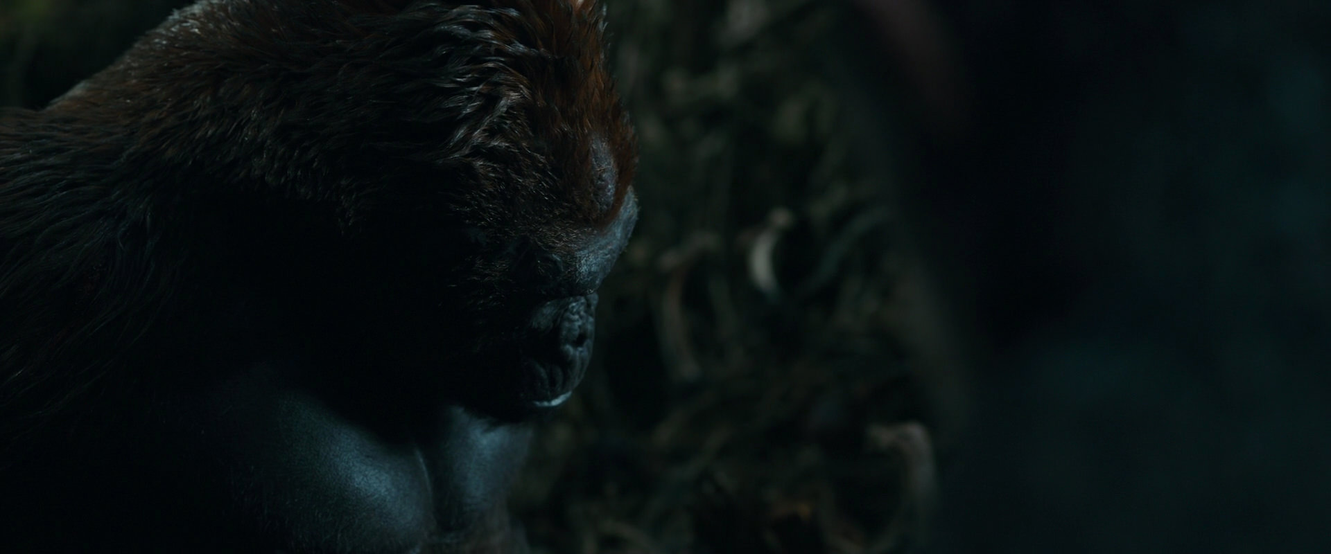 War for the Planet of the Apes (2017) screencap 894