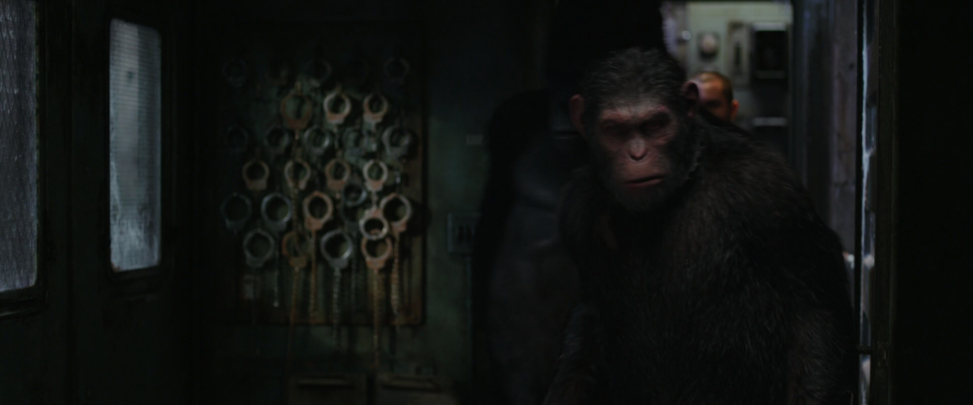 War for the Planet of the Apes (2017) movie still 8947