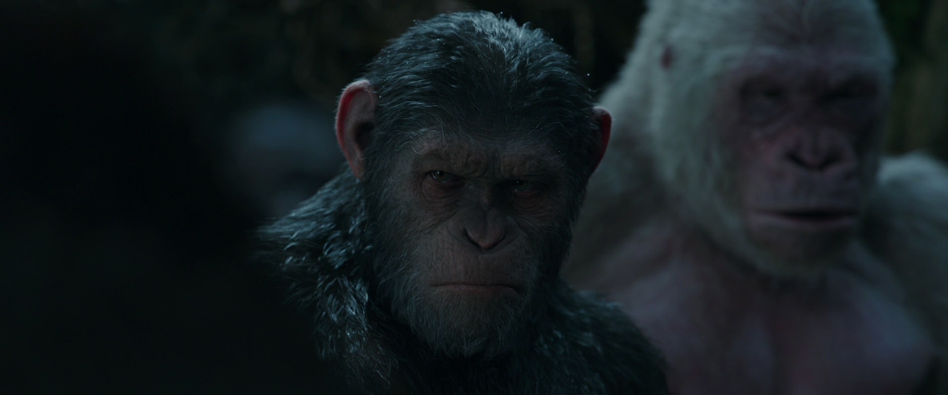 War for the Planet of the Apes (2017) movie still 895