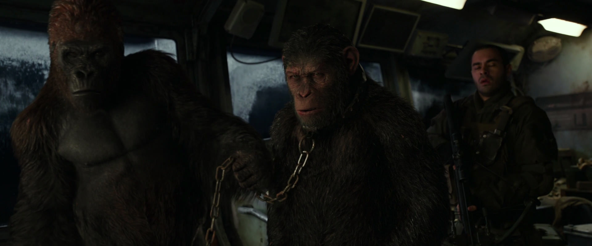 War for the Planet of the Apes (2017) movie still 8959