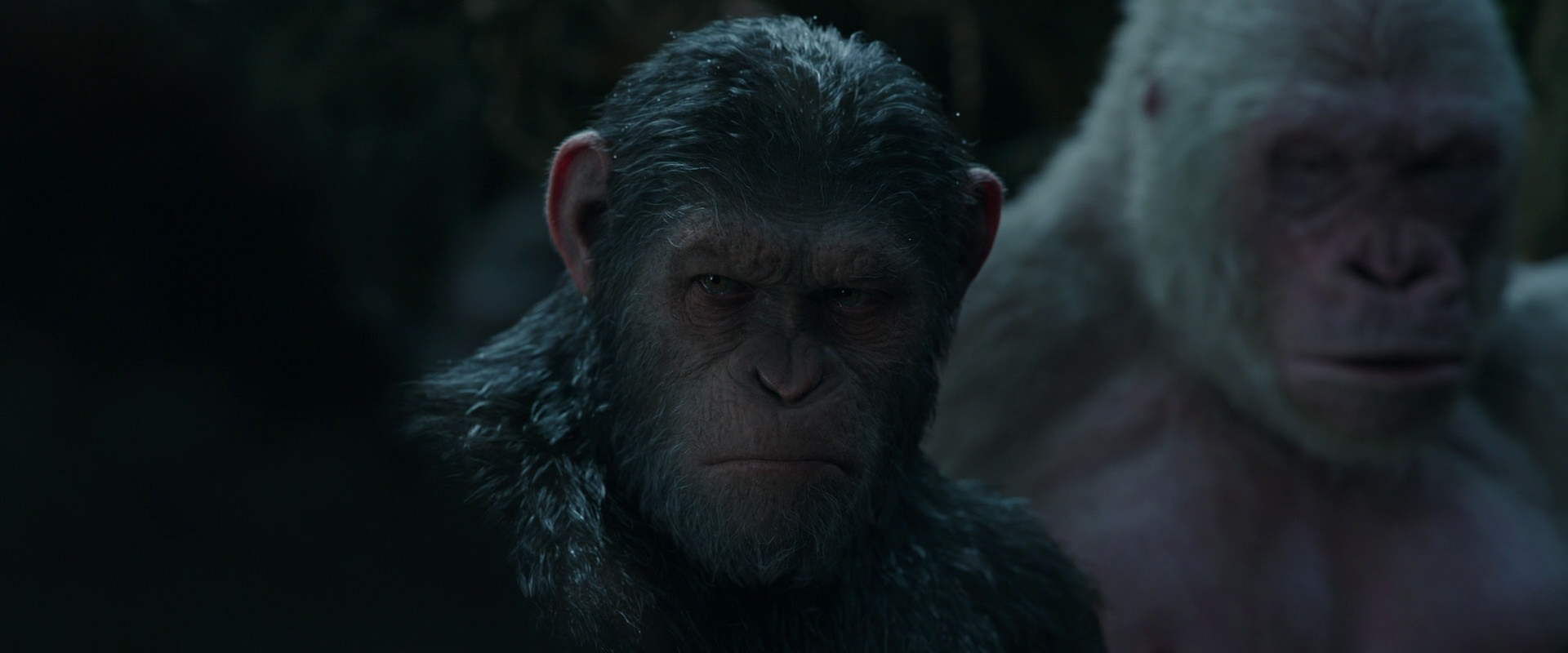 War for the Planet of the Apes (2017) HD screenshot 896