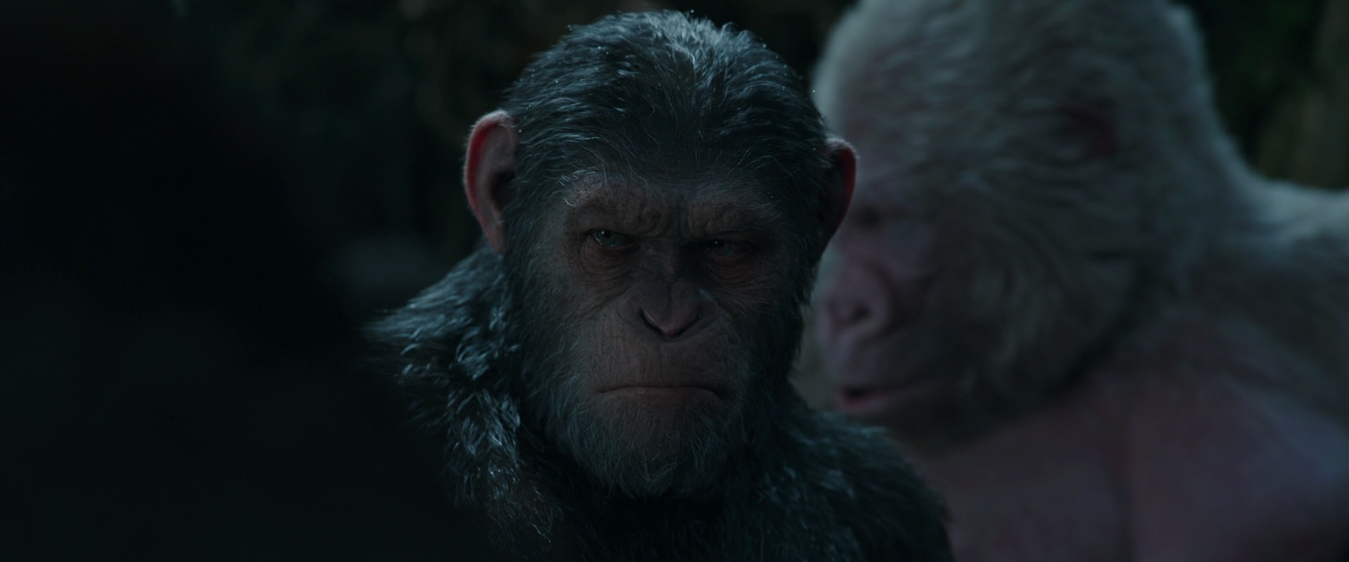 War for the Planet of the Apes (2017) screencap 897