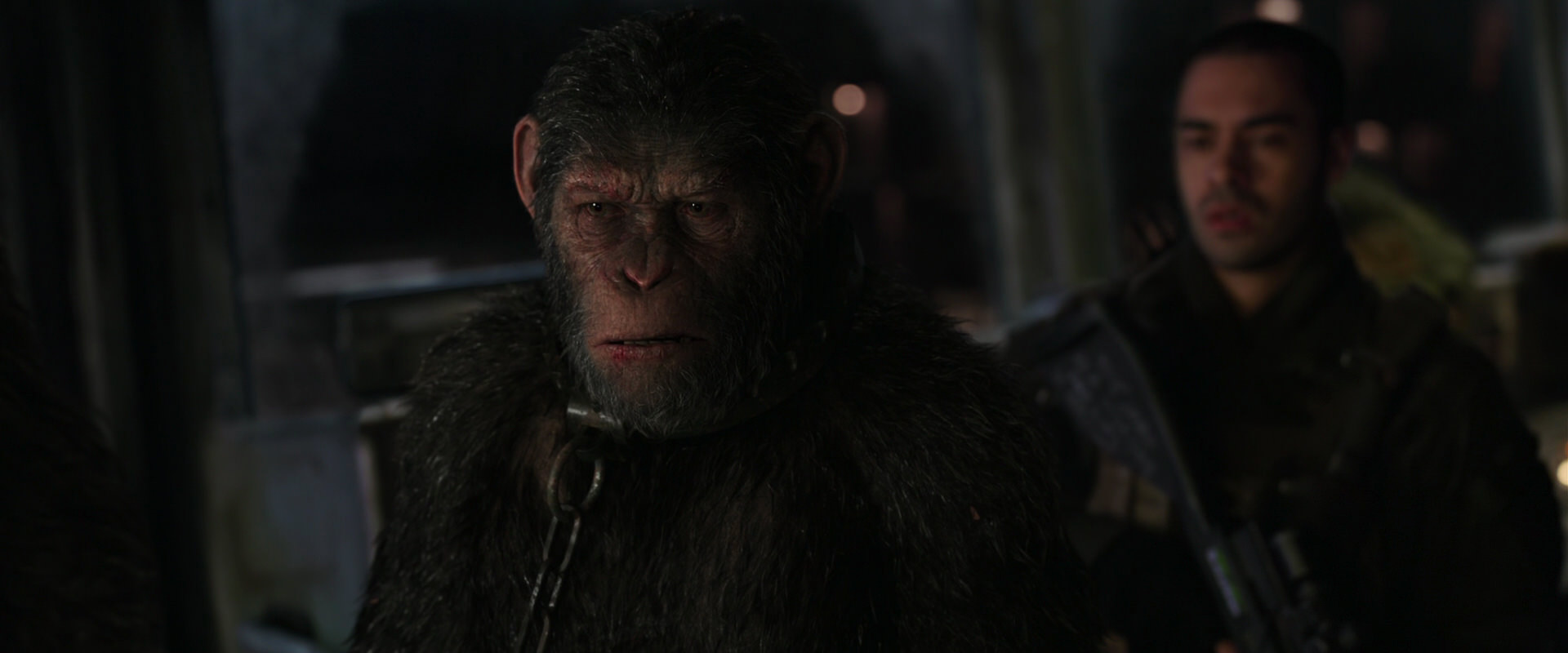 War for the Planet of the Apes (2017) screencap 8973