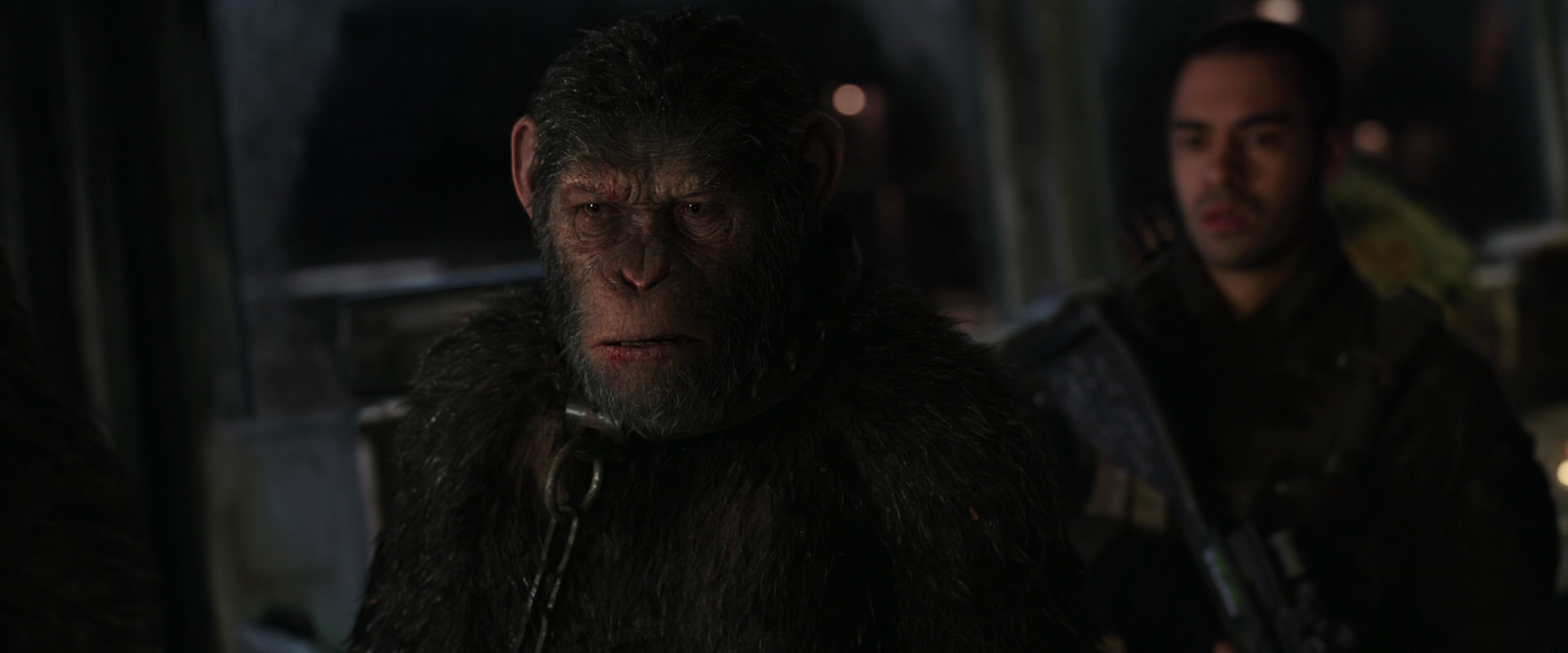 War for the Planet of the Apes (2017) movie still 8974