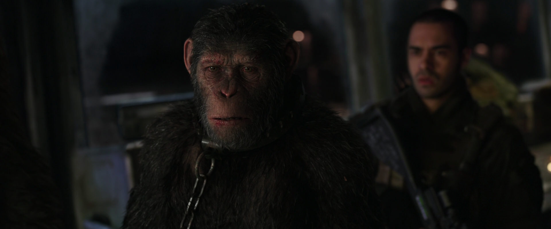 War for the Planet of the Apes (2017) movie still 8992