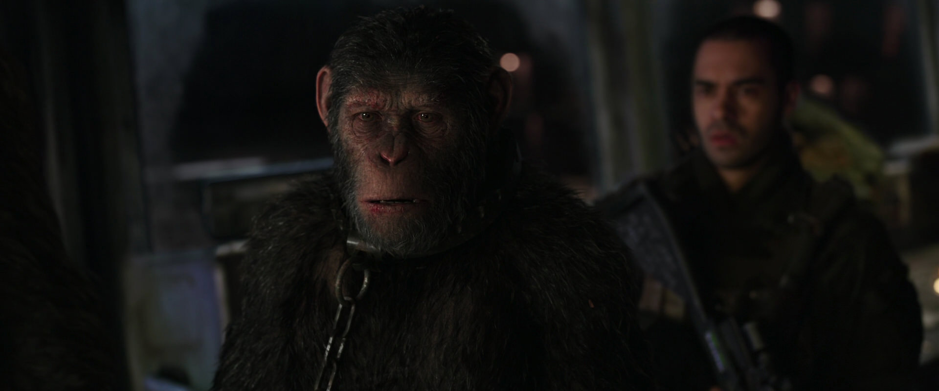War for the Planet of the Apes (2017) screencap 8994