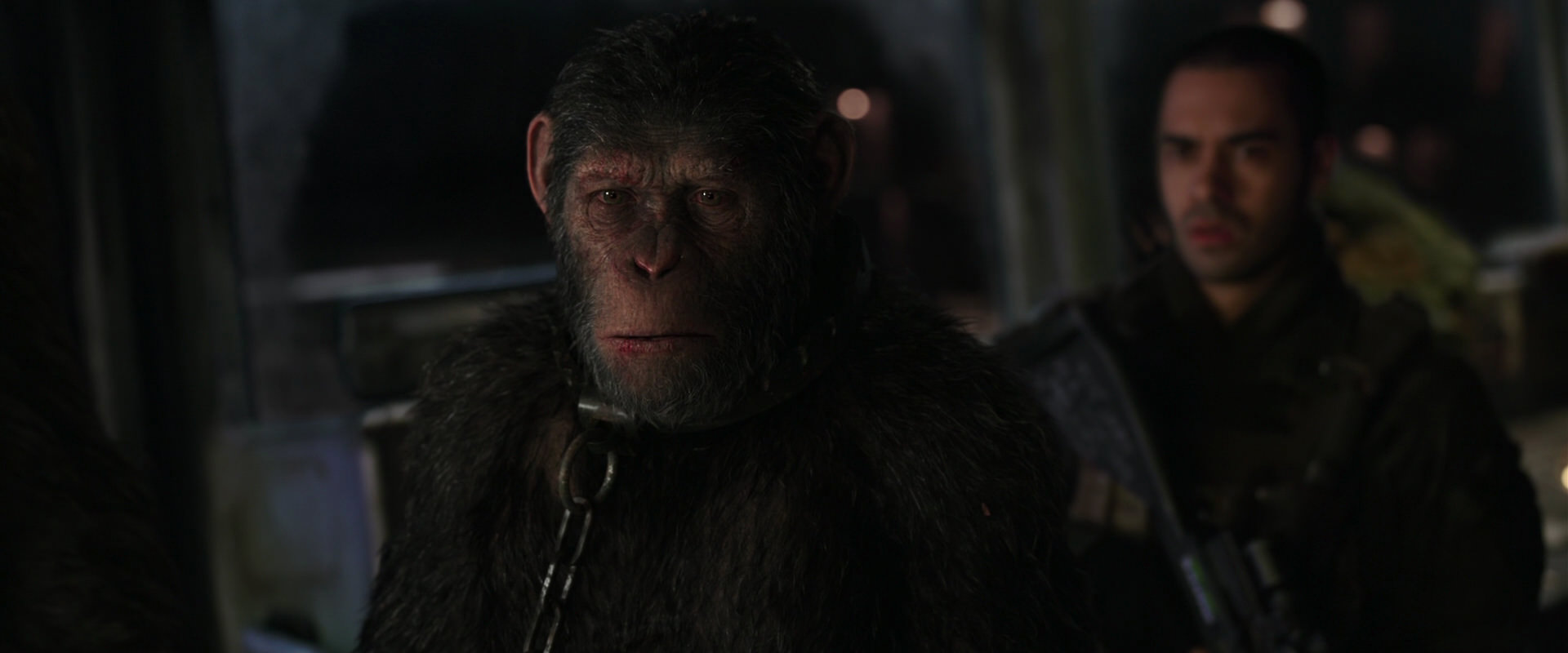 War for the Planet of the Apes (2017) movie still 8995