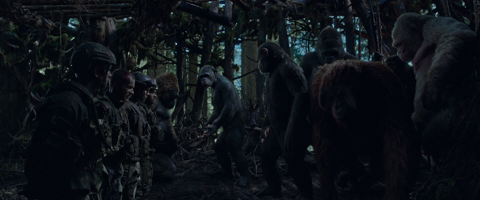 War for the Planet of the Apes (2017) screencap 900