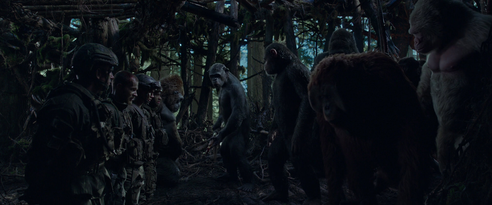 War for the Planet of the Apes (2017) movie still 901