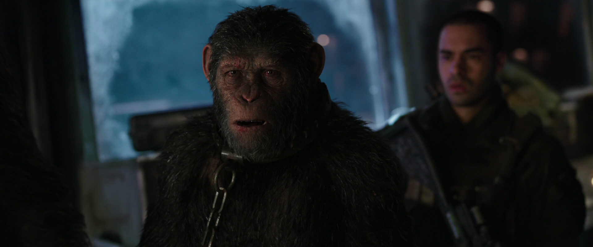 War for the Planet of the Apes (2017) movie still 9013